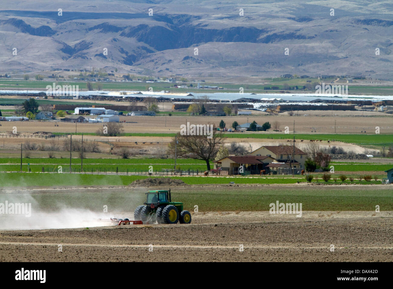 Traktor für Frühjahr Bodenbearbeitung im Canyon County, Idaho, USA Stockfoto