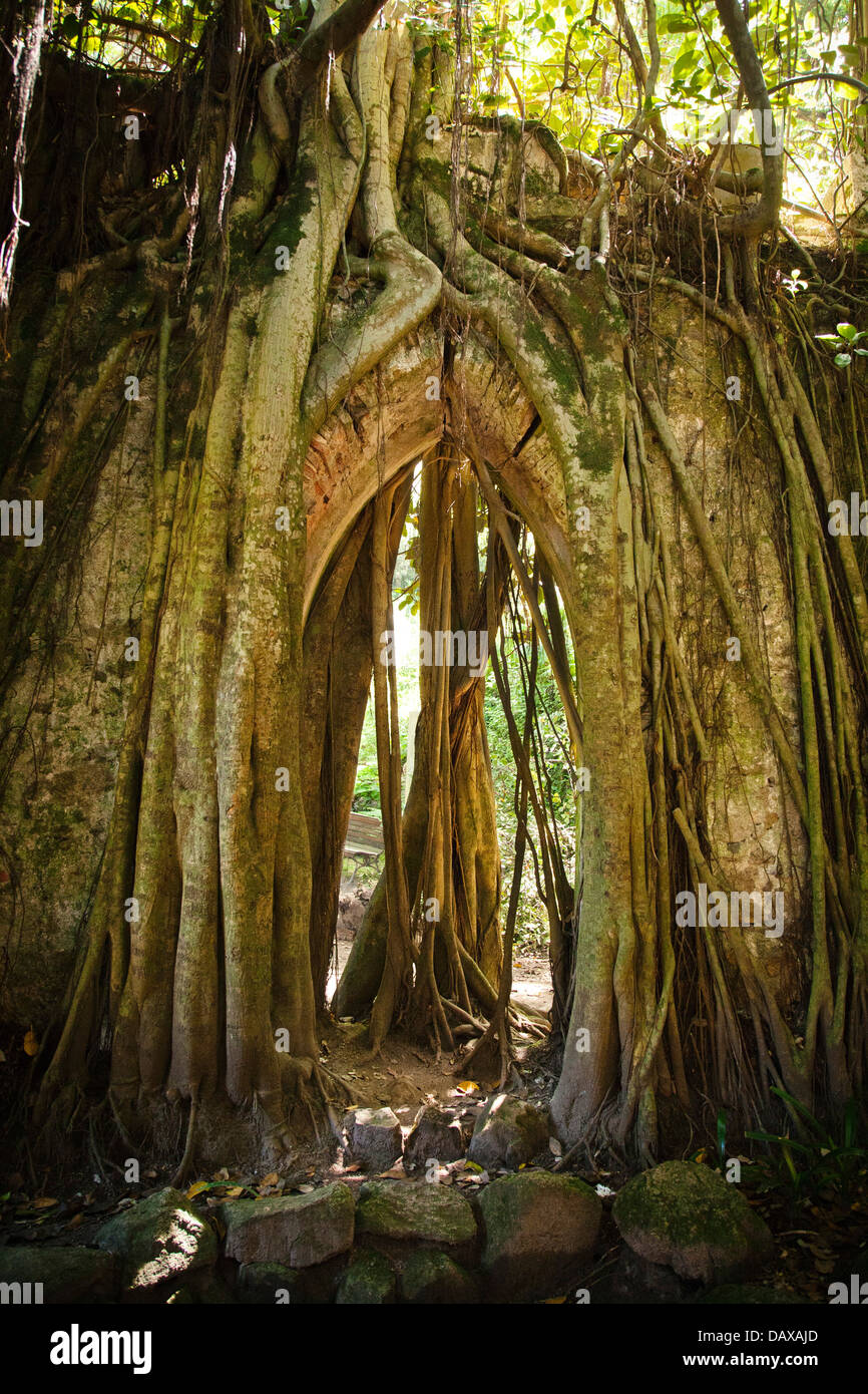 Sintra garten Fotos und Bildmaterial in hoher Auflösung Alamy