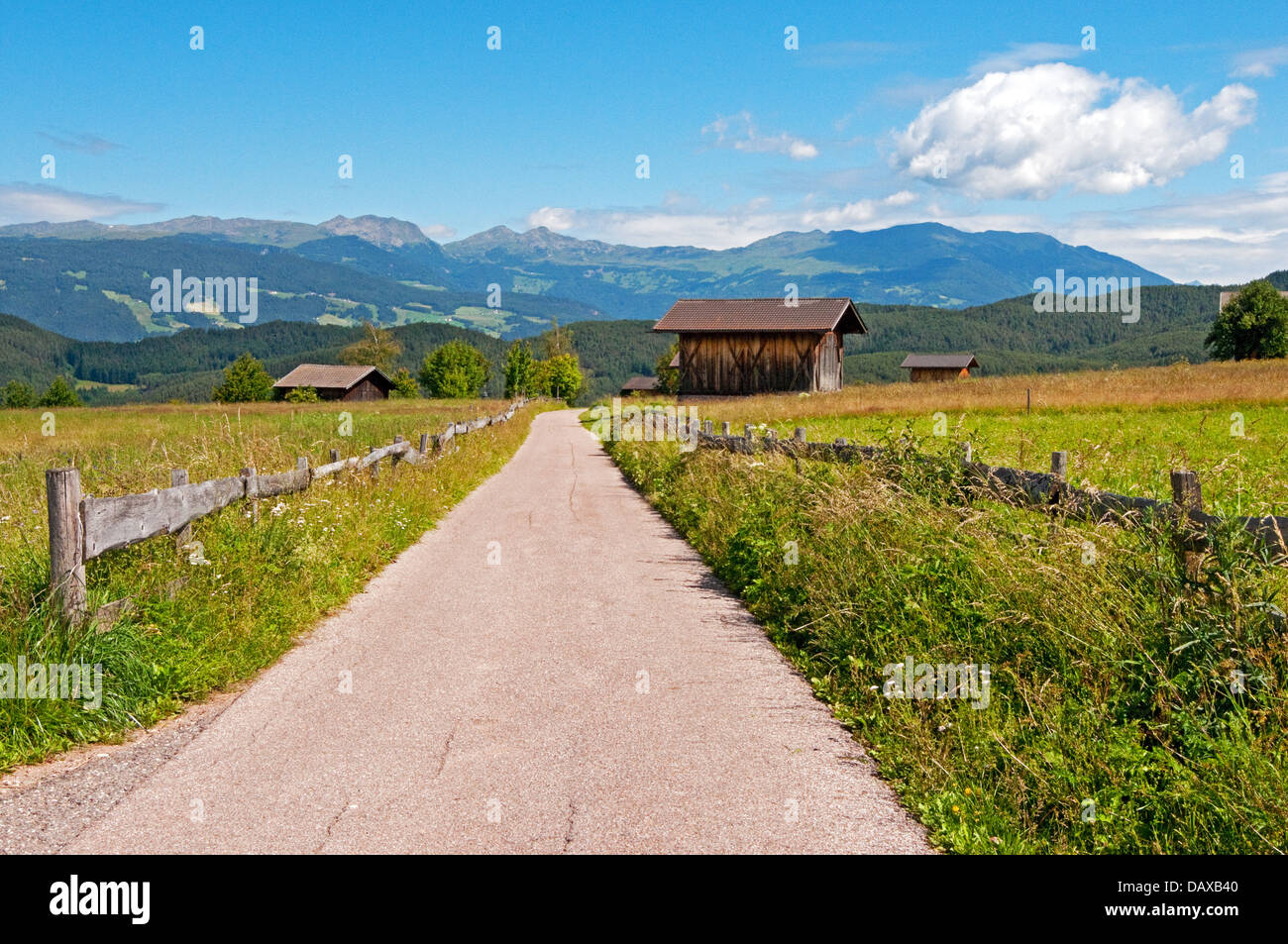 Straße, die durch hohen alpinen Wiese in der Nähe von Kastelruth/Kaselruth, Italien Stockfoto