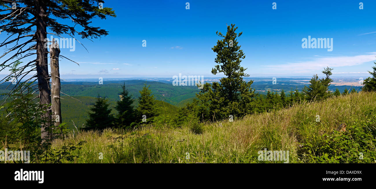 Thüringer Wald, Blick vom Inselsberg, Thüringen, Deutschland Stockfoto