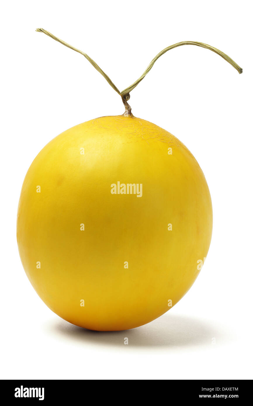 Goldene Langkawi Rockmelon auf weißem Hintergrund Stockfoto