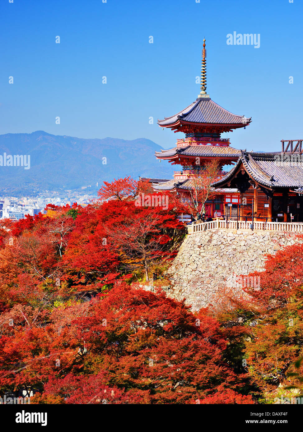 Kiyomizu-Dera Pagode mit Herbstfarben in Kyoto, Japan. Stockfoto