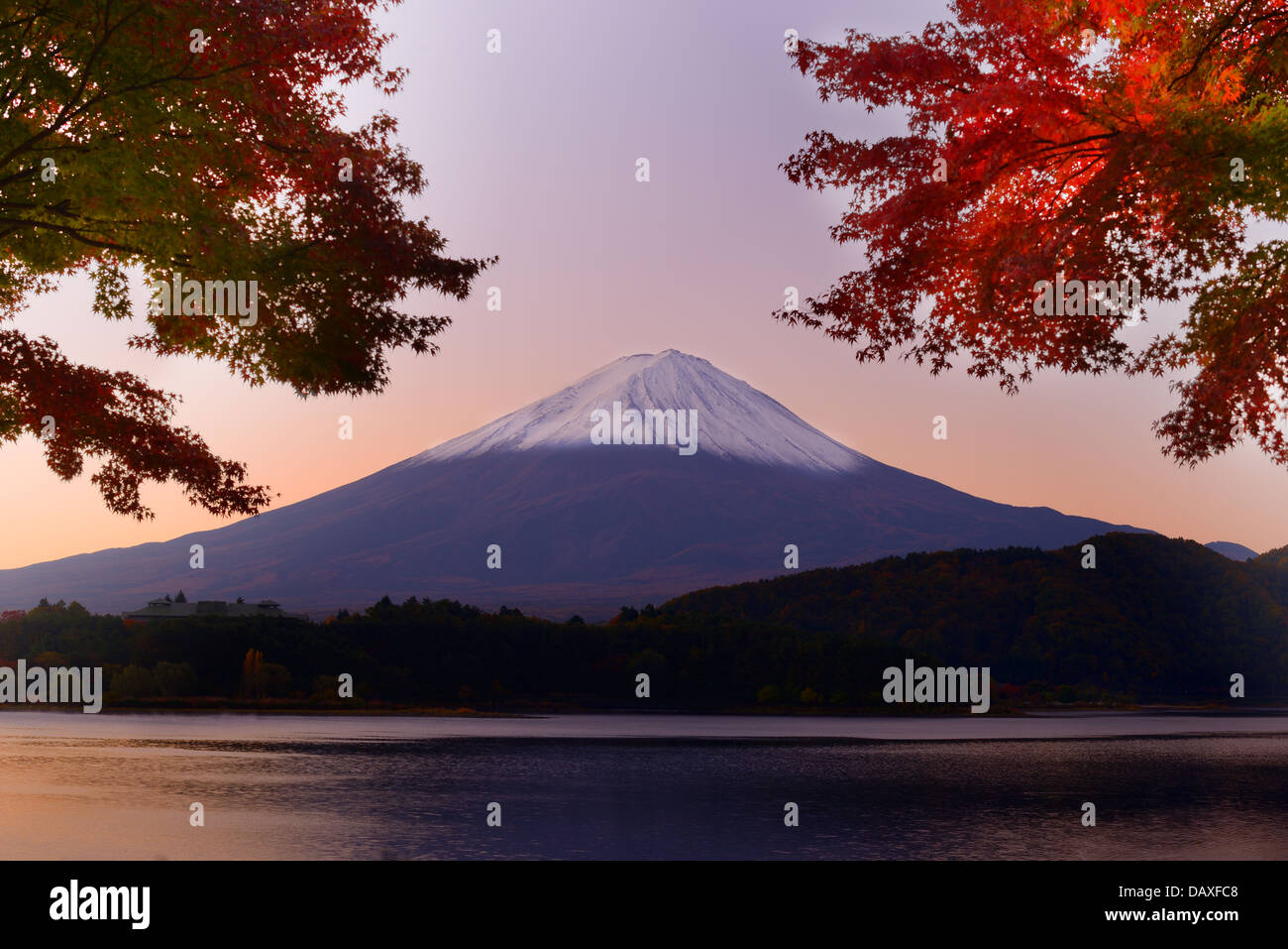 Mt. Fuji und Herbst Laub am Kawaguchi-See. Stockfoto