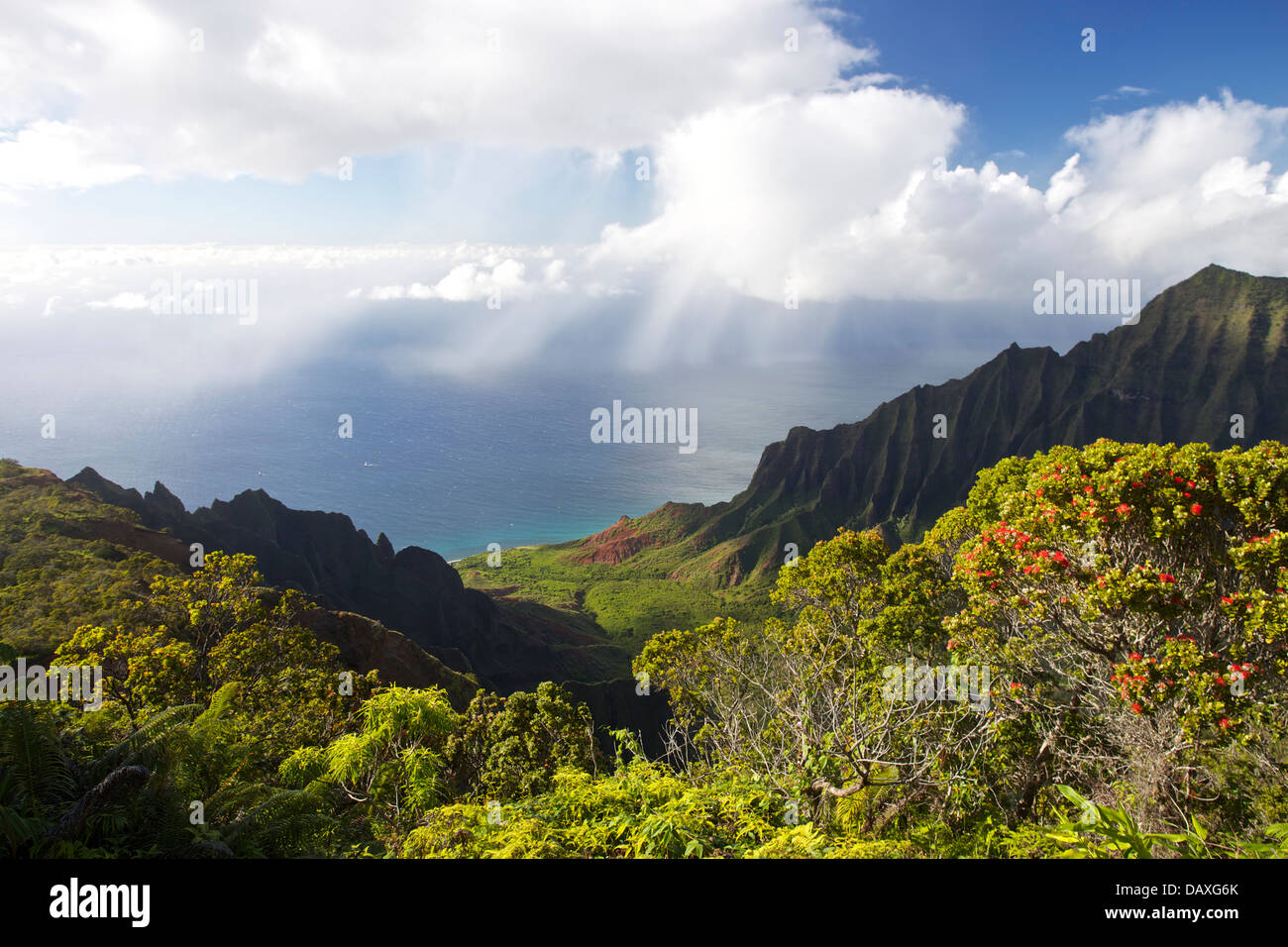 Blick über das Kalalau Valley, Na Pali Coast State Park, Kauai, Hawaii. Stockfoto