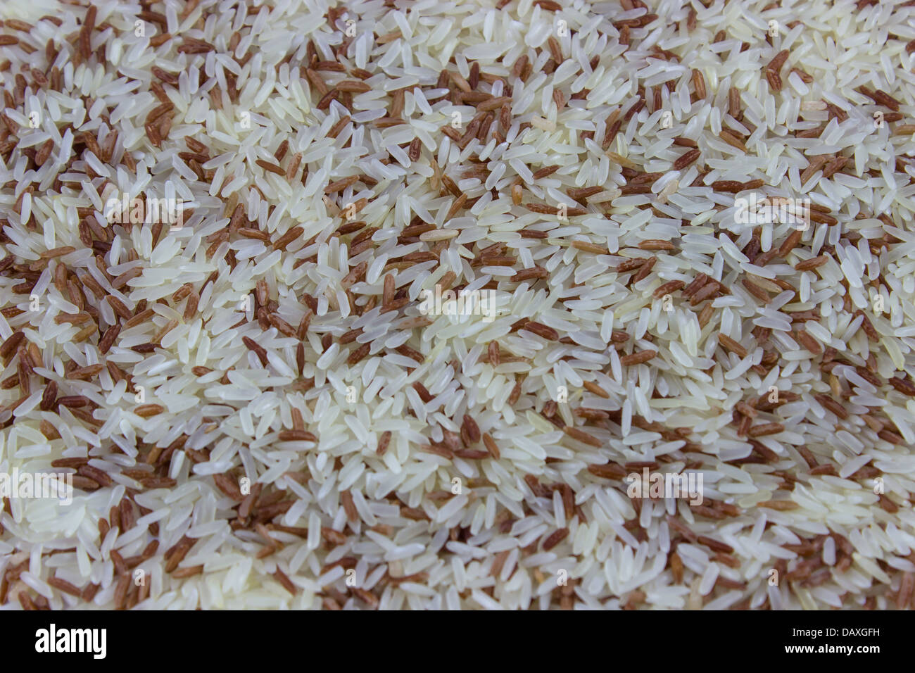Roten und weißen Reis auf Teller Stockfoto