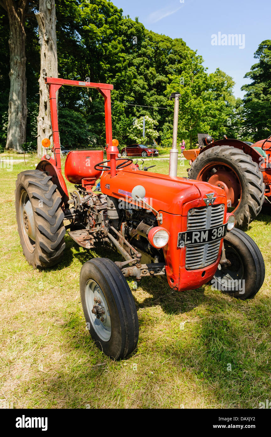 Massey Ferguson MF 35 FE35 Traktor 1955 (USA) 1956 (UK), wurde zu einem der beliebtesten Traktoren jemals veröffentlicht und ist heute noch im Einsatz Stockfoto