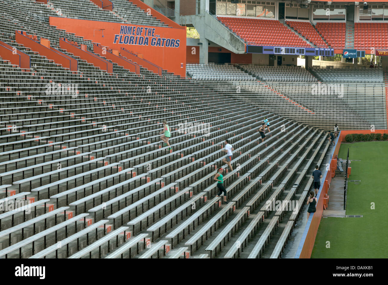 Studenten und Sportler laufen die Florida Field Stadion Schritte zur Übung auf Campus der University of Florida in Gainesville, Florida. Stockfoto