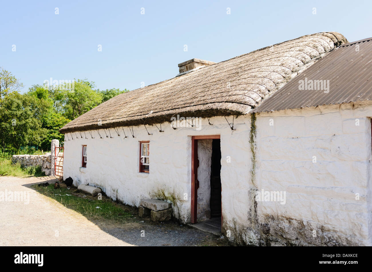 Alte irische reetgedeckten Bauernhaus Stockfoto