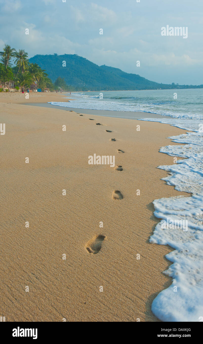 Fußabdrücke in einem tropischen Strand Stockfoto
