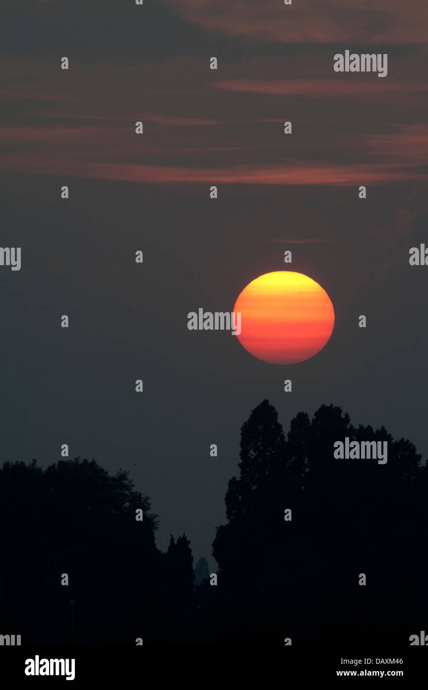 Sonnenuntergang über Nadelbäume Stockfoto