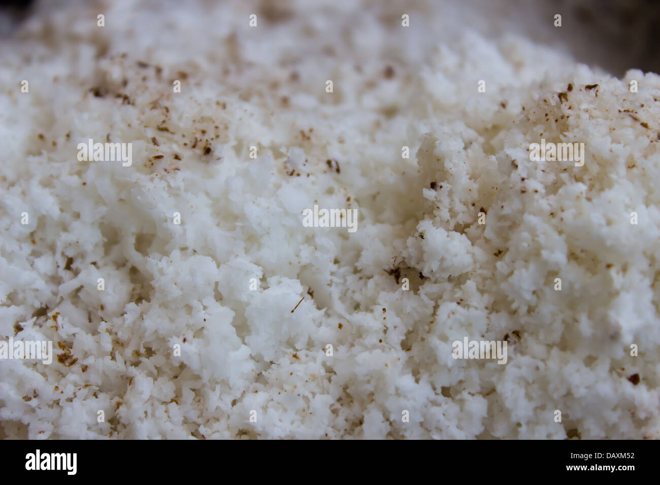 Gesüßte Flocken Kokosnuss als Zutat kochen oder Backen oder als Garnierung verwendet werden. Stockfoto