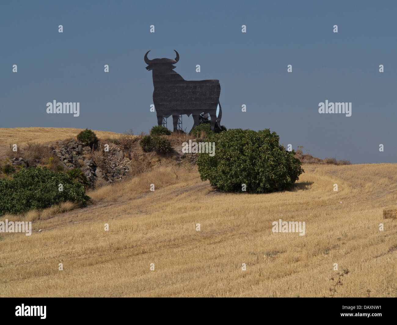 Ein seltenes Beispiel für eines der letzten Bilder der Osborne Stier auf dem Lande in der Nähe von Jerez in Andalusien, Spanien Stockfoto