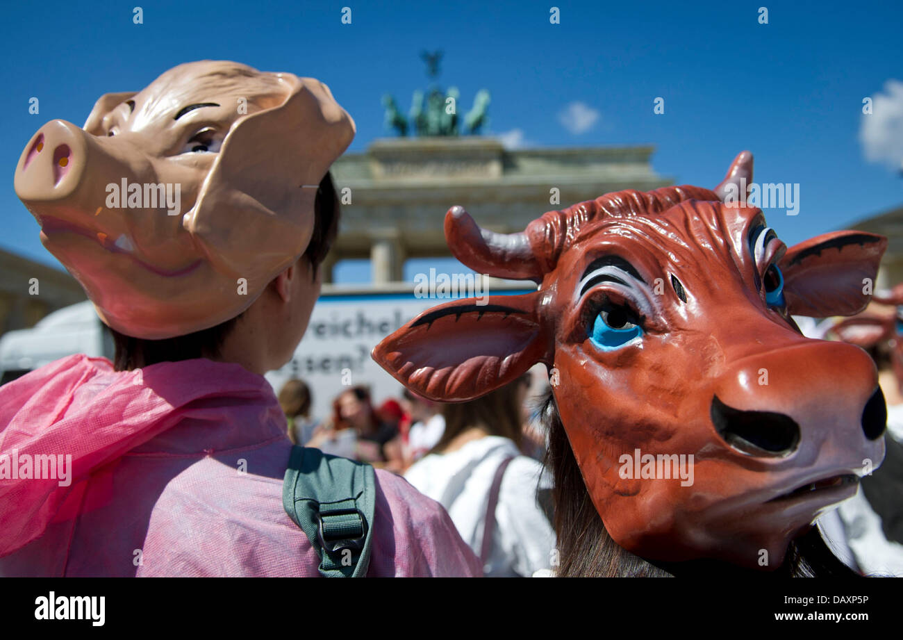 Berlin, Deutschland. 20. Juli 2013. Vegetarier, gekleidet in Kuh und Schwein Kostüme Protest gegen die dritte Veggie-Parade gegen den Verzehr von tierischen Produkten. Foto: OLE SPATA/Dpa/Alamy Live-Nachrichten Stockfoto