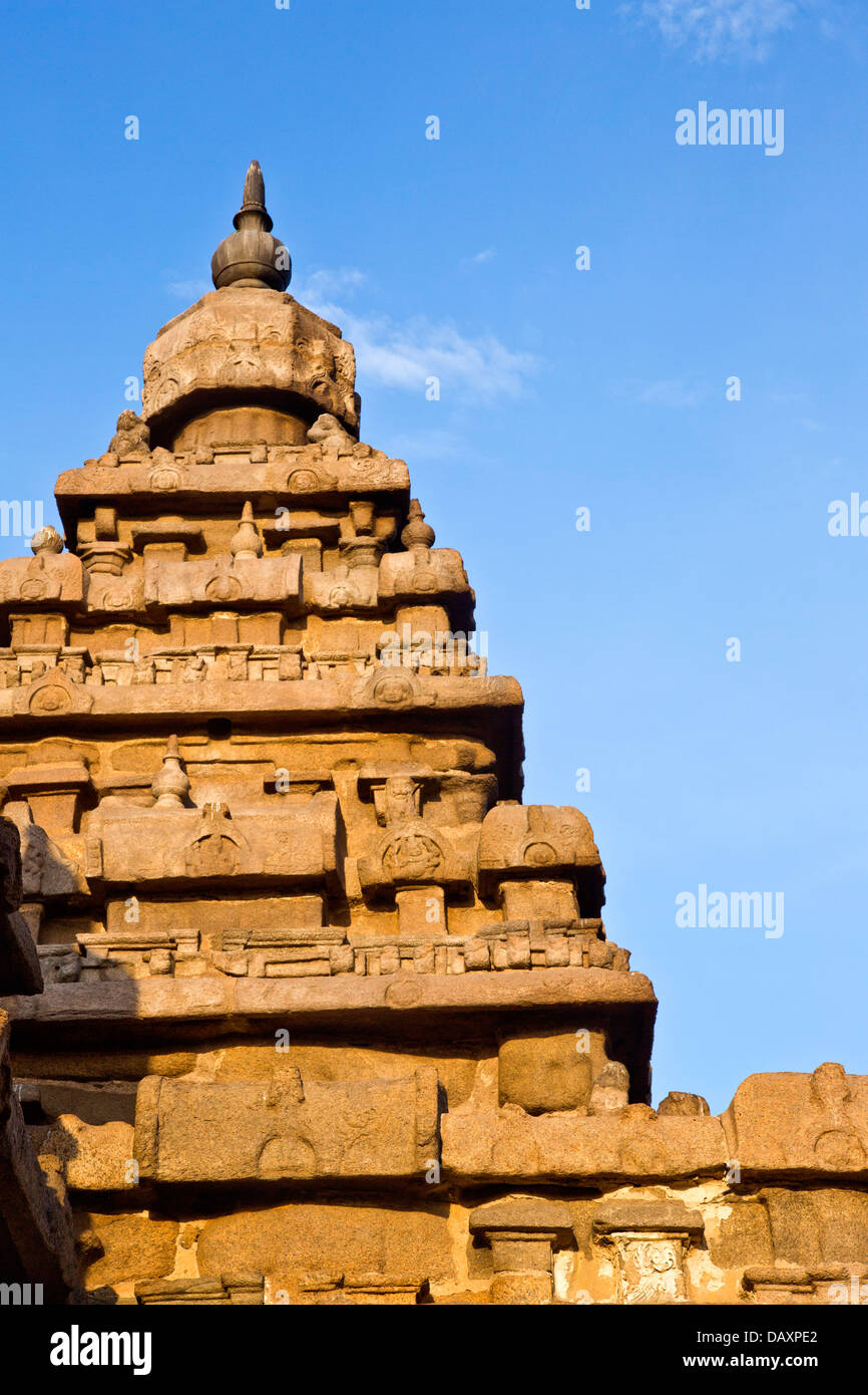 Carving-Details eines Tempels Shore Tempel, Mahabalipuram, Kanchipuram Bezirk, Tamil Nadu, Indien Stockfoto