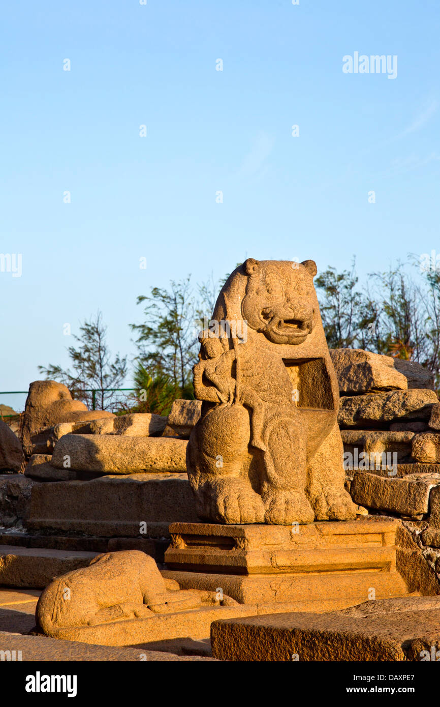 Skulptur eines Löwen in einem Tempel, Shore Tempel, Mahabalipuram, Kanchipuram Bezirk, Tamil Nadu, Indien Stockfoto