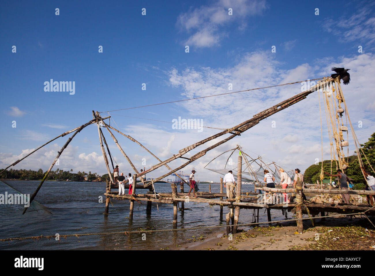 Chinesischen Fischernetze am Strand, Cochin, Kerala, Indien Stockfoto