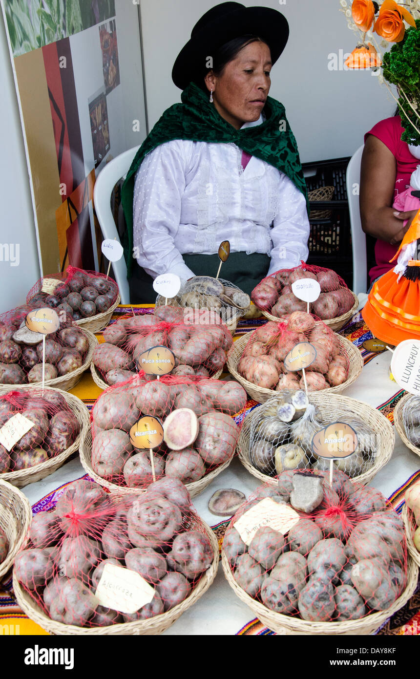 Landwirte der einheimischen Kartoffeln der Peruaner Anden. Stockfoto