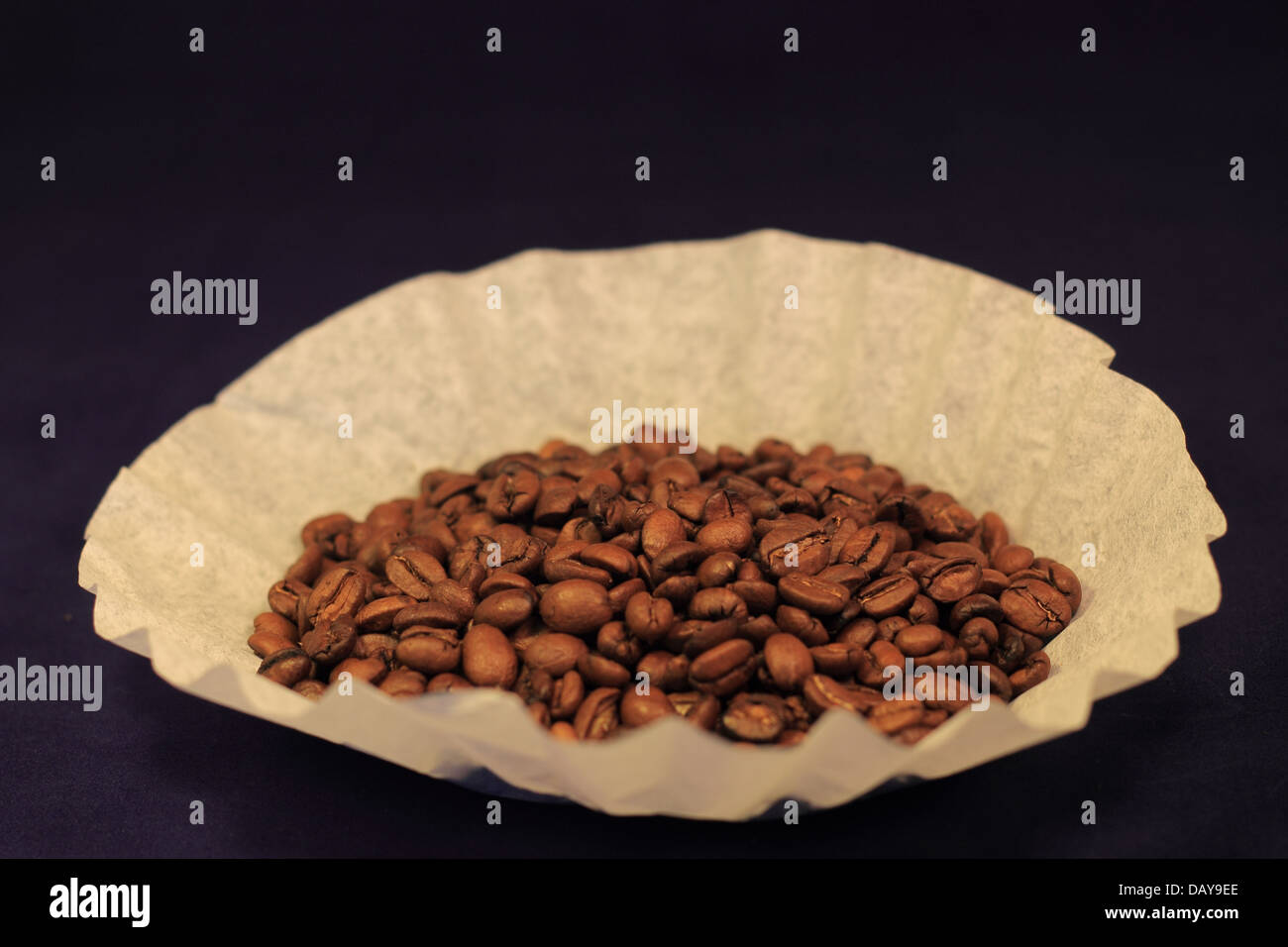 Kaffeebohnen in einen Kaffeefilter auf blauem Hintergrund Stockfoto