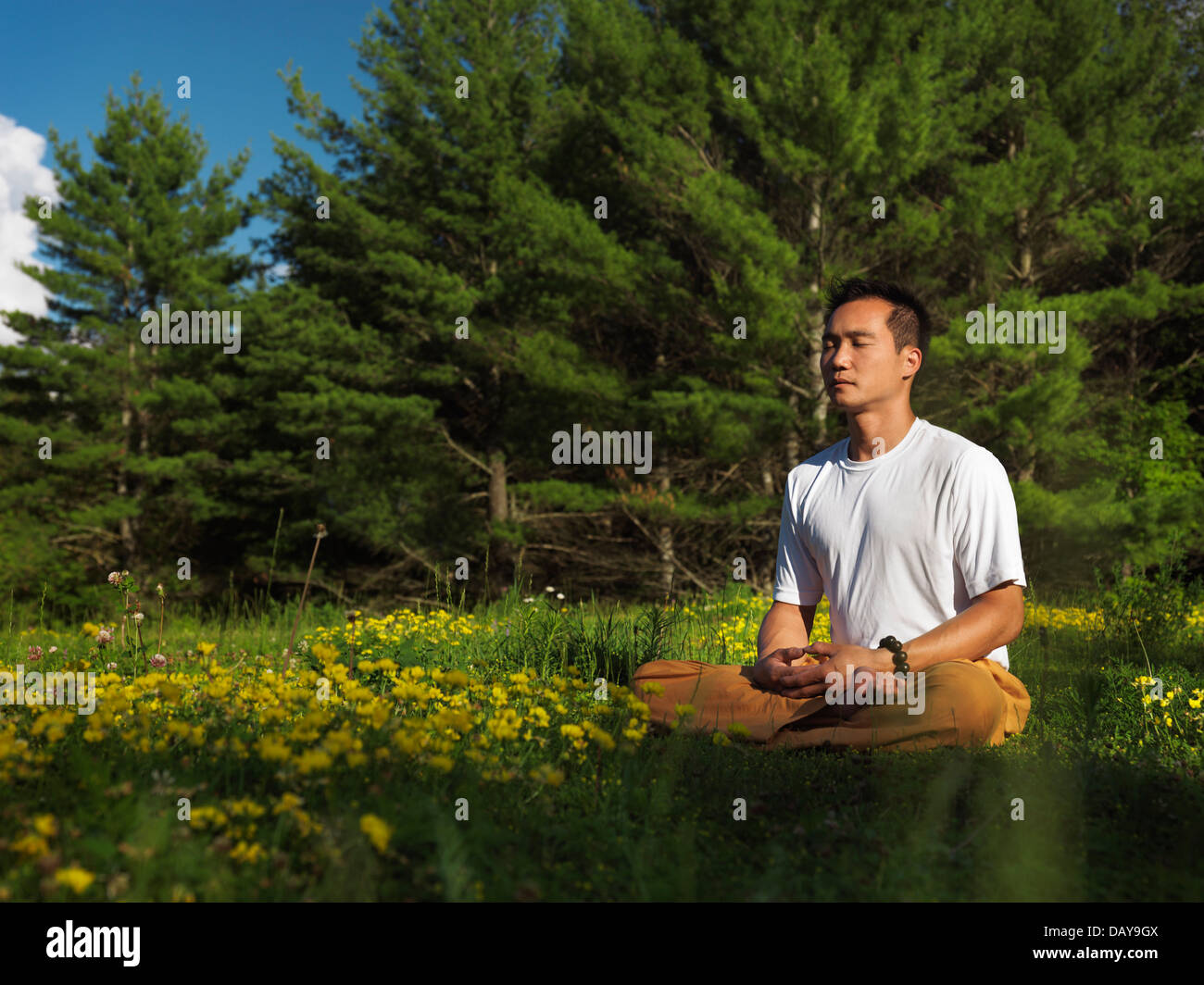 Lizenz verfügbar unter MaximImages.com - Shaolin-Meister meditiert im Freien während Sonnenaufgang in der Natur, sitzt mit gekreuzten Beinen Stockfoto
