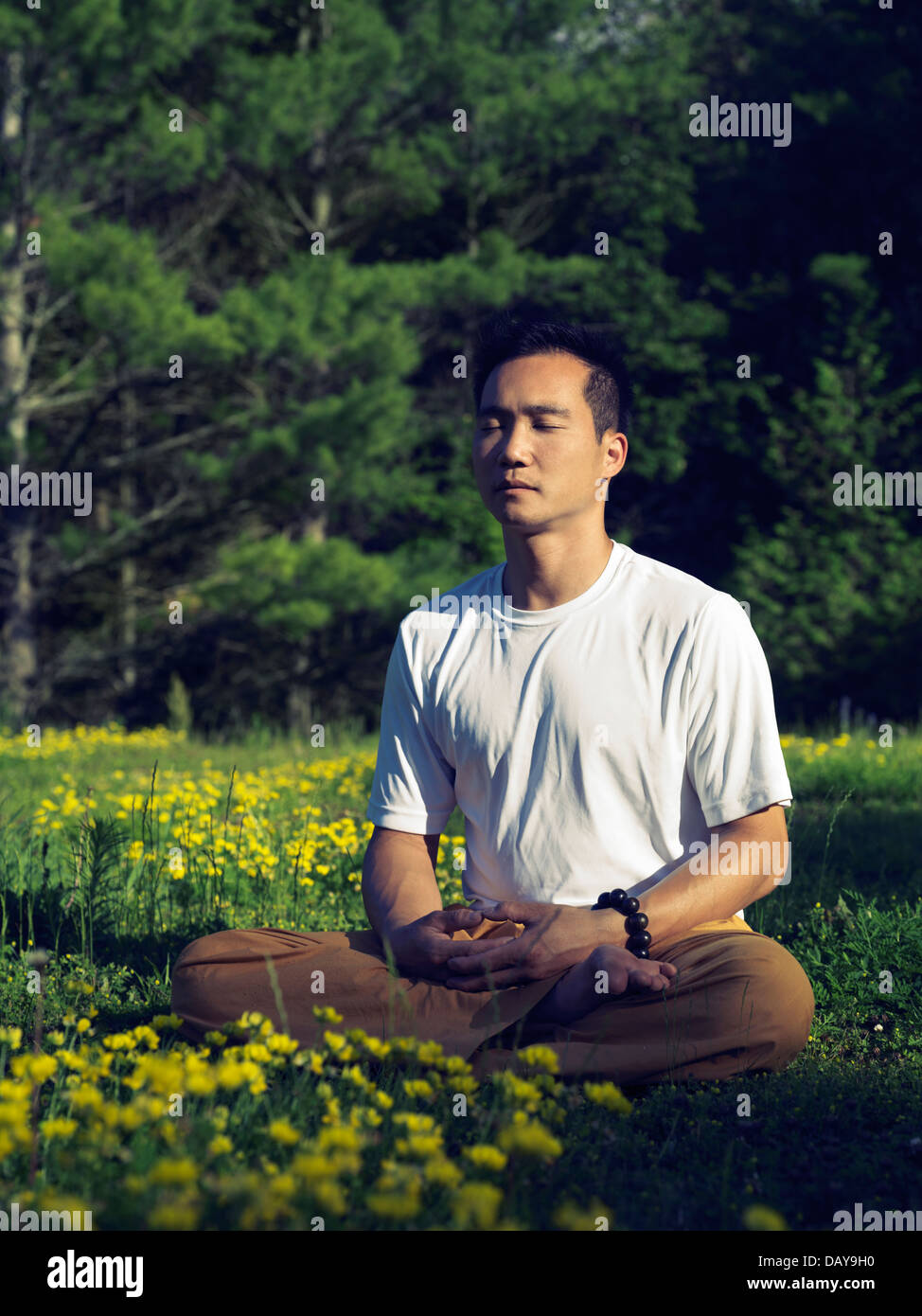 Lizenz verfügbar unter MaximImages.com - Asiate, die während des Sonnenaufgangs in der Sommerlandschaft chinesische buddhistische Meditation praktizieren Stockfoto