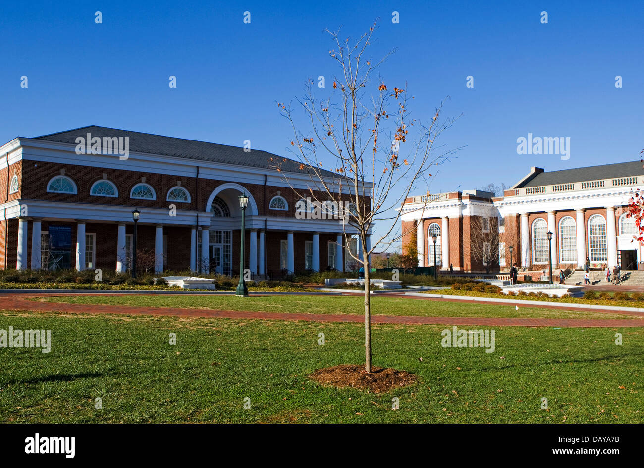 Die spezielle Sammlungen Bibliothek und Alderman Library auf dem Gelände der Universität von Virginia, Charlottesville, VA Stockfoto