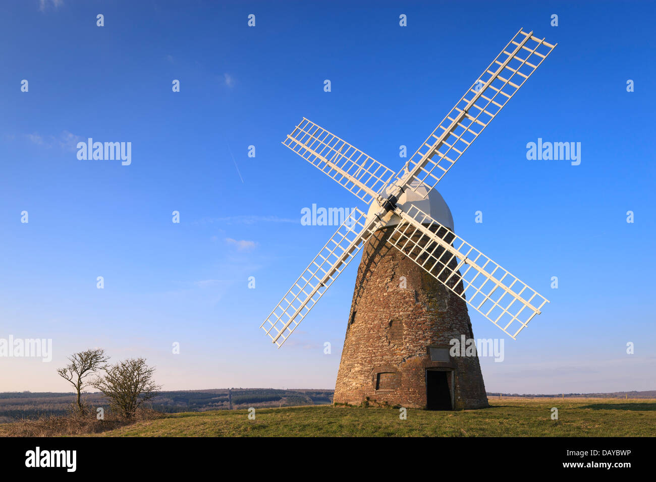 Halnaker Windmühle in der South Downs National Park Chichester West Sussex England Stockfoto