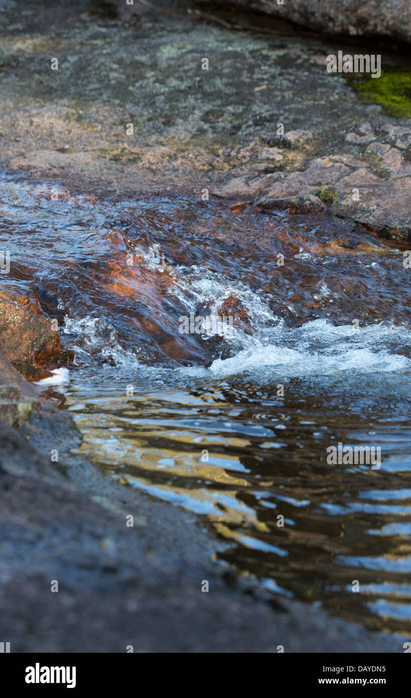 Klare Wasser fließt in einem Gebirgsbach in Kanangra Boyd National Park, NSW, Australien Stockfoto