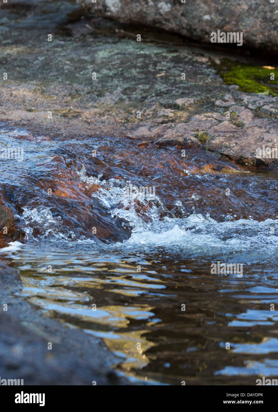 Klare Wasser fließt in einem Gebirgsbach in Kanangra Boyd National Park, NSW, Australien Stockfoto