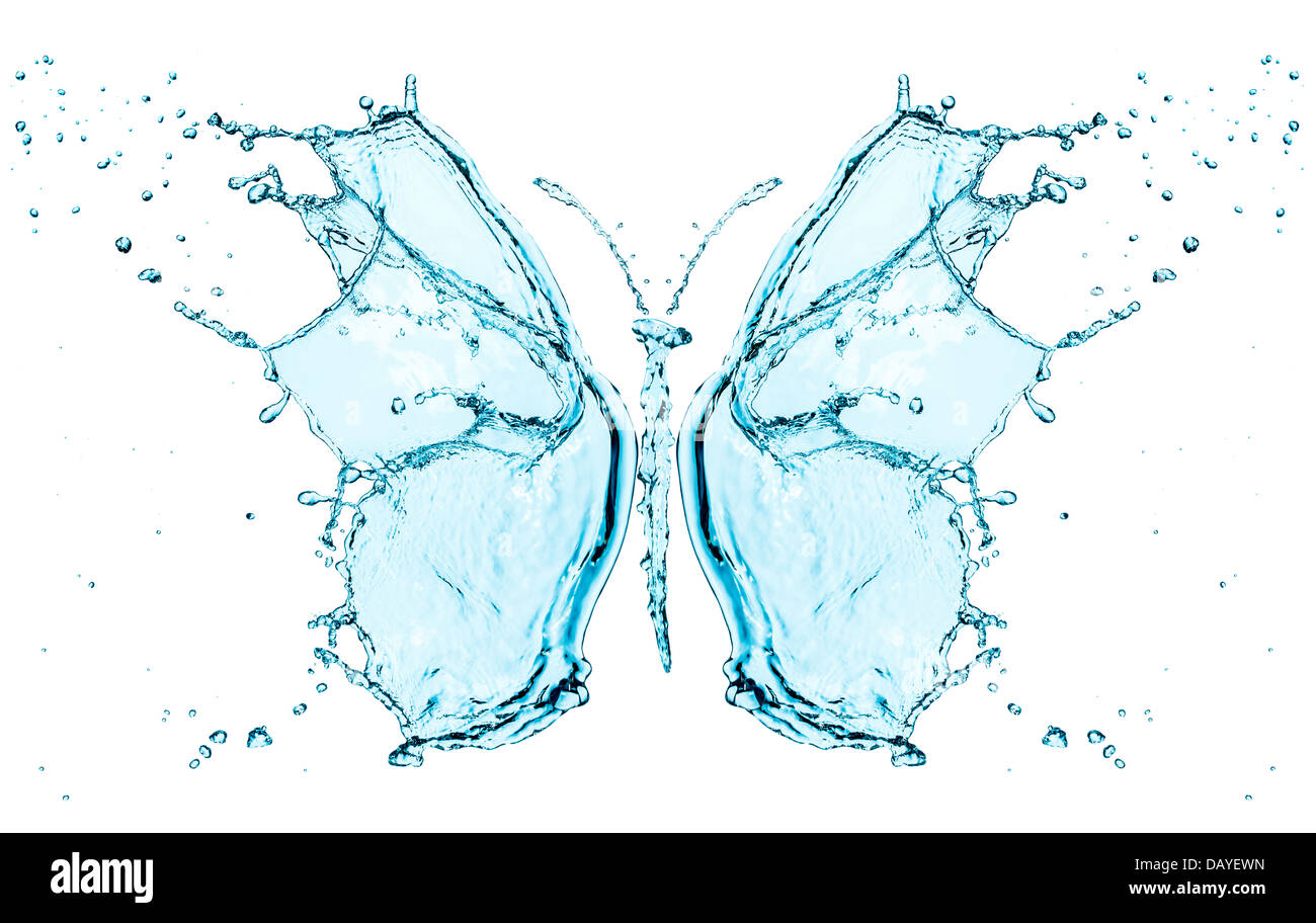 Schmetterling Spritzwasser isoliert auf weißem Hintergrund Stockfoto