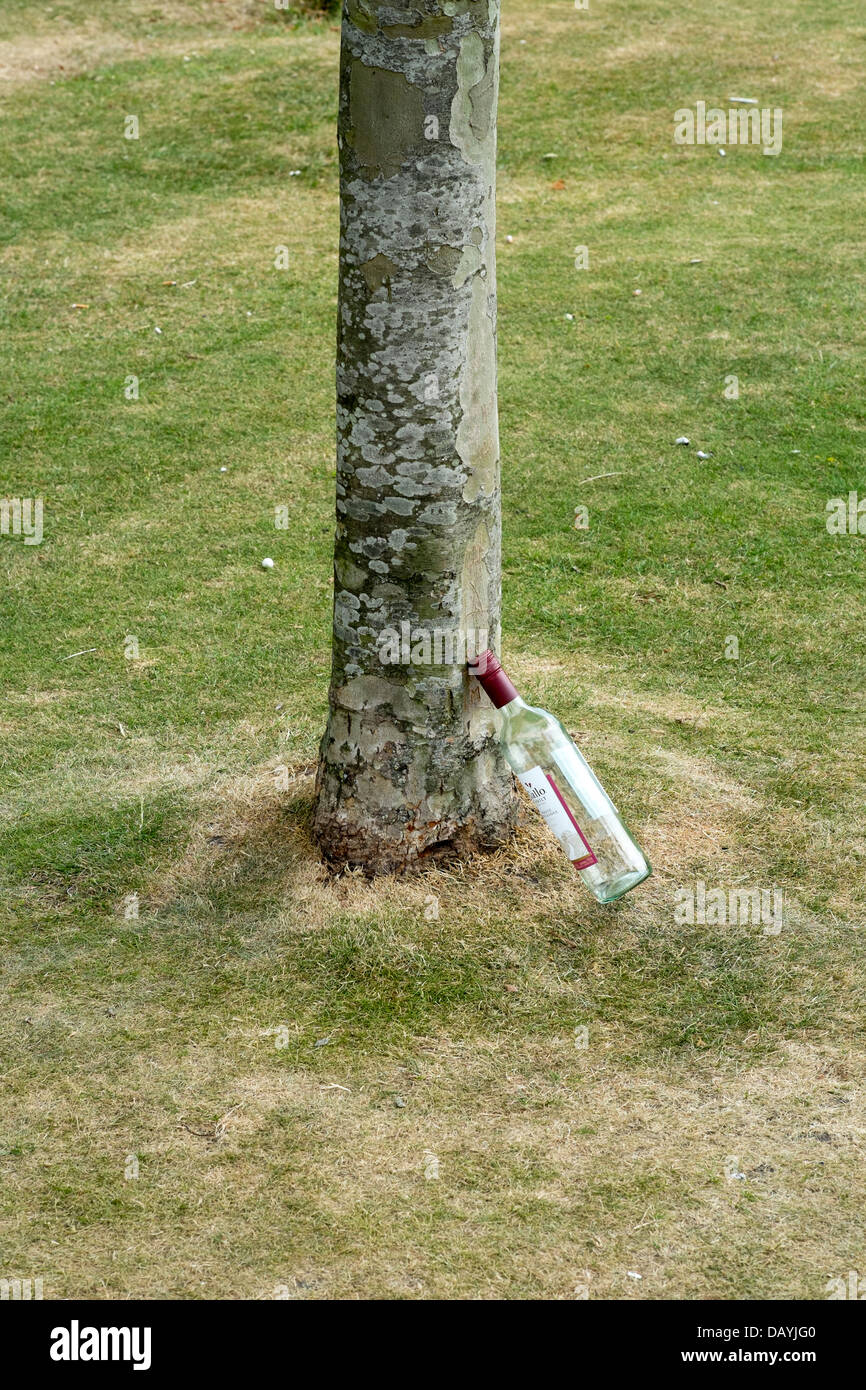 Leere Weinflasche links gelehnt einen Baum UK Stockfoto
