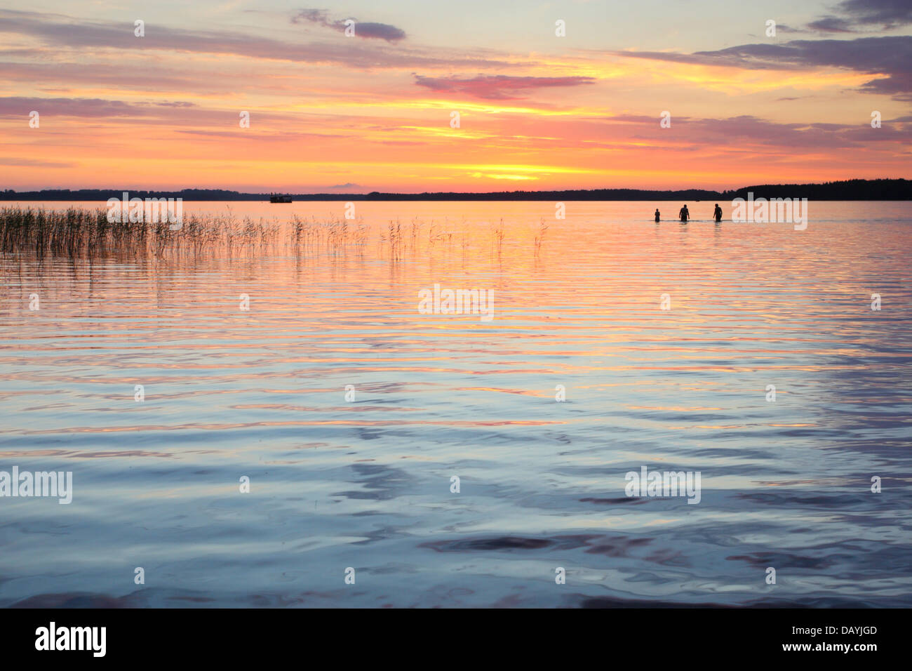Menschen sind im See Saadjärv in den Sonnenuntergang schwimmen. Estland, Europa Stockfoto