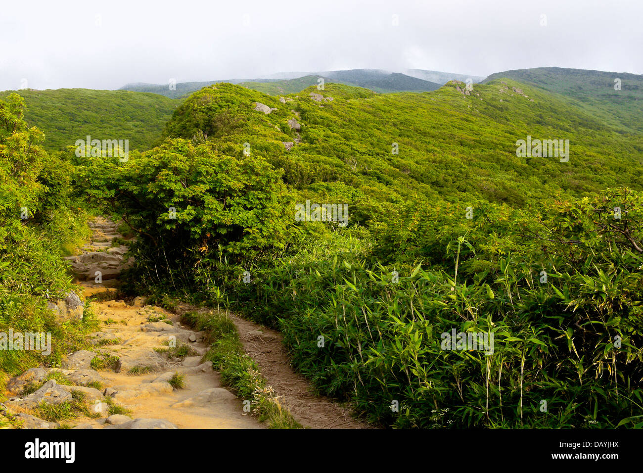 Trailhead am Mount Aromakomponenten in Akita Japan starten Stockfoto