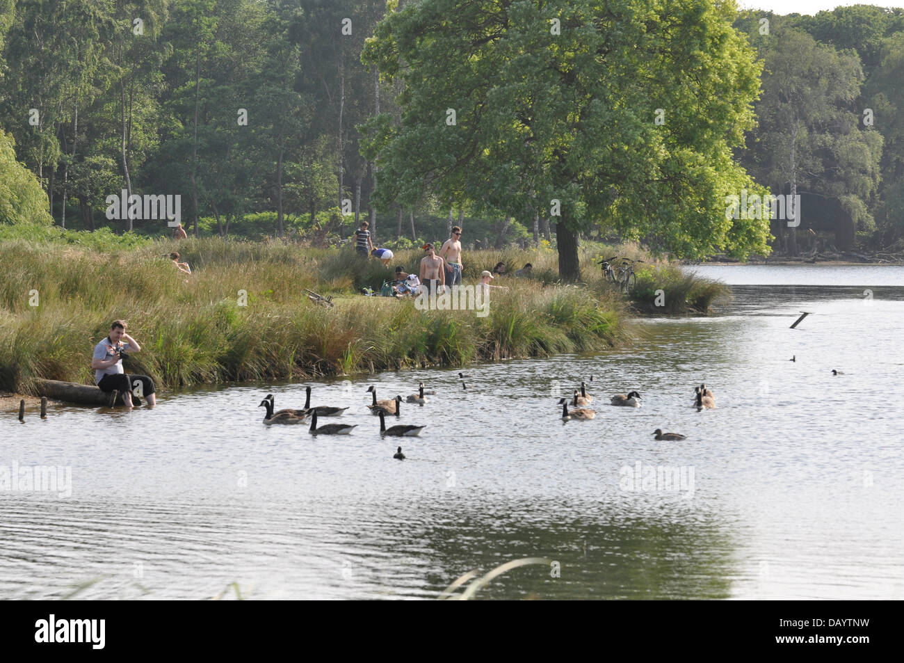 London, UK, Sonntag, 21. Juli 2013. Während der Hitzewelle im gesamten Vereinigten Königreich weiter, gehen Londonern im Südwesten Richmond Park, das schöne Wetter zu genießen. Im Juli 2013 UK Sommer endlich angekommen.  Das Met Office ausgestellt eine Kategorie 3 Hitzewelle wie Temperaturen stieg um Höhen zu erfassen. Bildnachweis: Graham Hush/Alamy Live-Nachrichten Stockfoto