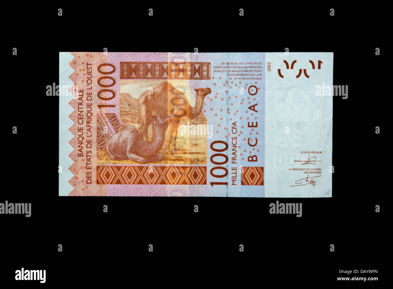 Westafrikanische-Franc-Banknote, Rückseite. 1000-CFA-Franken. Stockfoto