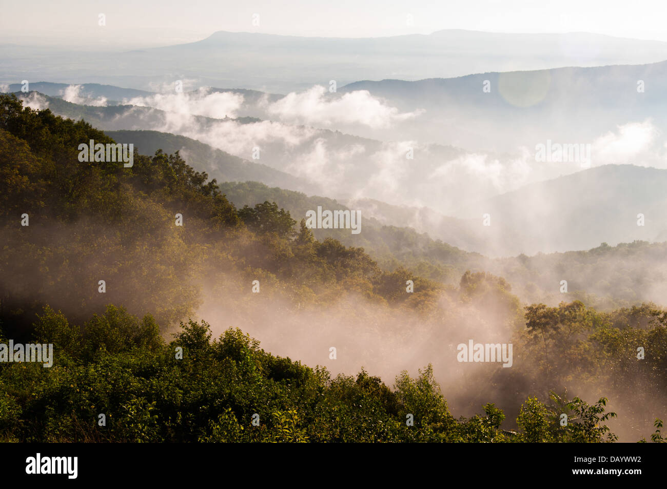 Nebel und niedrige Wolken in den Blue Ridge Mountains, gesehen vom Skyline Drive im Shenandoah-Nationalpark, Virginia Stockfoto