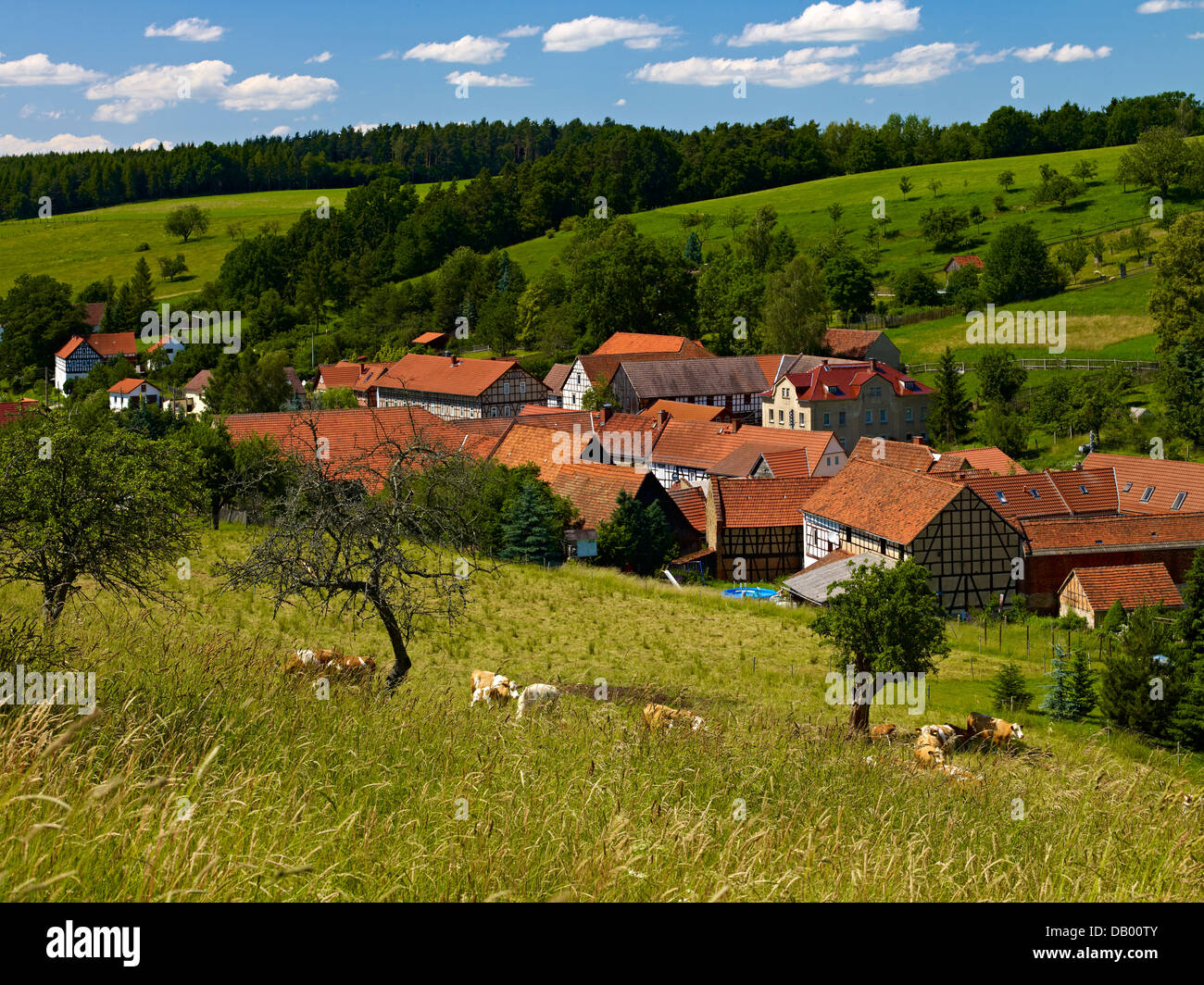 Hellborn, Tal Dörfer, Thüringen, Deutschland Stockfoto