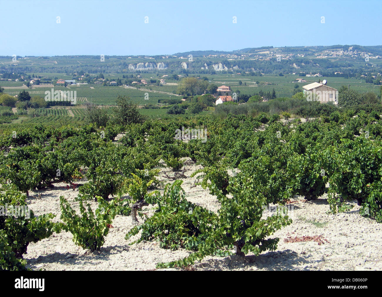 Datei - das Bild zeigt das Anbaugebiet Cotes du Rhone in der Nähe von Seguret, Frankreich, 14. September 2006. Foto: Thomas Muncke Stockfoto