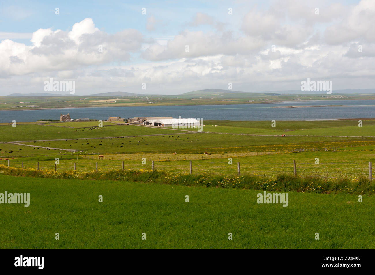 Agrarlandschaft der Halbinsel Deerness Orkney Festland Teil. Die Farm im Mittelgrund ist Braebuster. Stockfoto