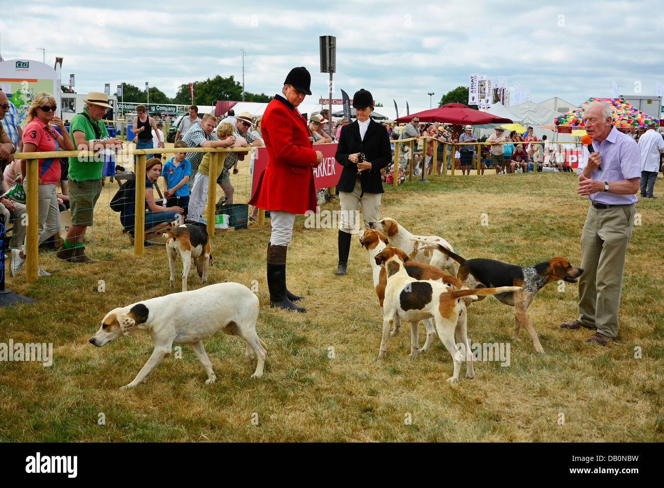 Alcester, Warwickshire. 21. Juli 2013. Hunde im Ring bei der CLA Game Fair, Ragley Hall, Alcester, Warwickshire, 19,20, 21. Juli. Foto von John Robertson, 2013. Bildnachweis: John Robertson/Alamy Live-Nachrichten Stockfoto