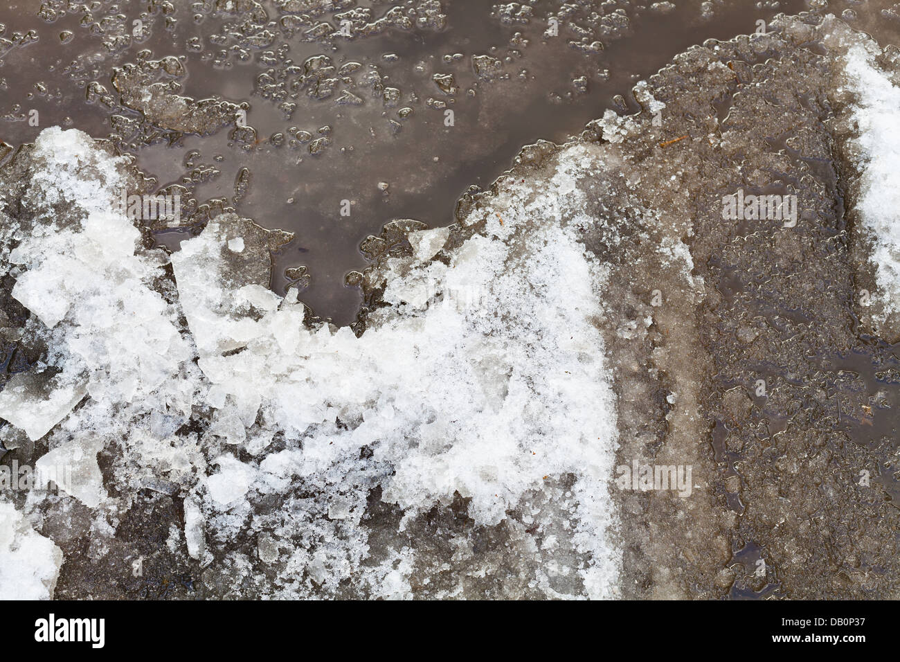 Pfütze aus Schneeschmelze im Frühjahr Stockfoto