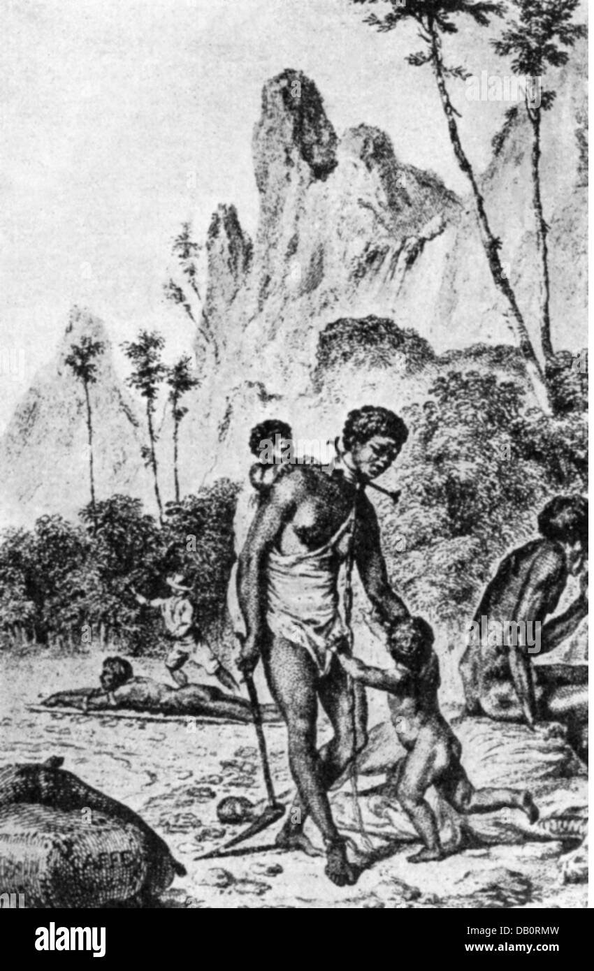 Sklaverei, Leben, Familie der farbigen Sklaven in der Karibik, Kupferstich von Nee nach Moreau, 18. Jahrhundert, Leute, Frau, Frauen, Frauen, Kind, Kinder, Kid, Kids, Kinder, Kind, Kinder, Kind, Mann, Männer, Männer, Mann, afrikanische, Schwarz, afrikanische, Afrikaner, Amerika, historischen, geschichtlichen, weiblich, männlich, Artist's Urheberrecht nicht gelöscht werden Stockfoto