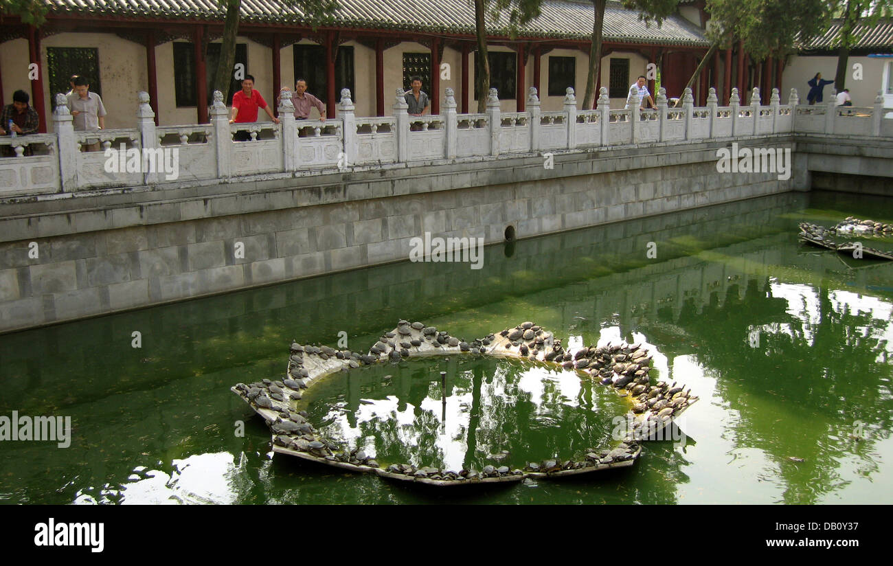 Besucher betrachten Sie Schildkröten Sonnen im Pool des Guiyuan Si Temple in Wuhan, China, 22. September 2007. Der buddhistische Tempel wurde während der frühen Qing-Zeit, während der heutigen Gebäude stammen aus der späten Qing-Zeit der frühen Republik gegründet. Foto: Carmen Jaspersen Stockfoto