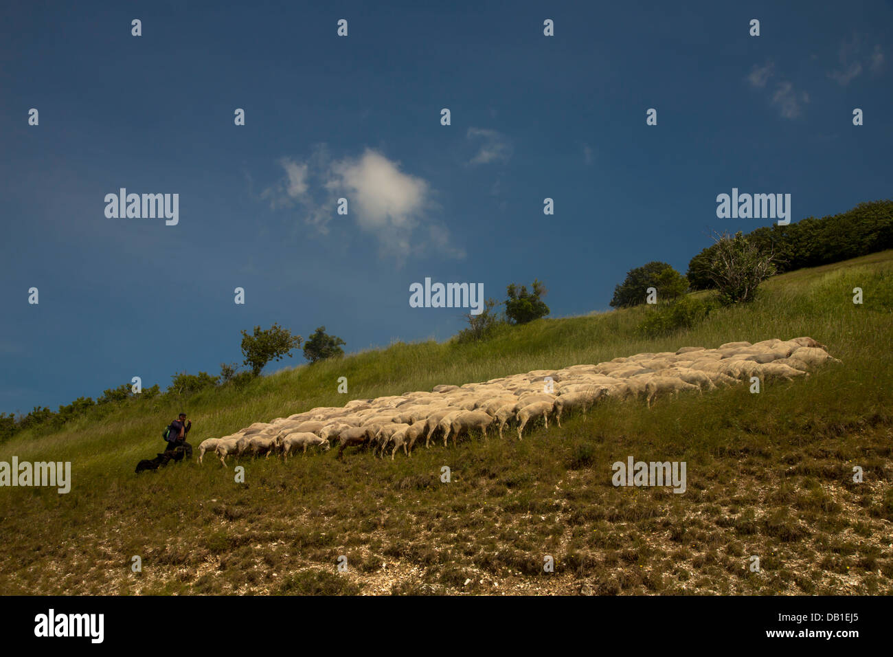 Sheperd seine Schafe in die umbrische Hügel hüten. Stockfoto