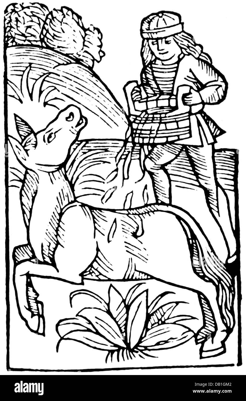 Landwirtschaft, Viehzucht, Pferd, Bauern, die Wasser über ein Pferd gießen, Holzschnitt, von 'Opus de ruralium rerum' von Petrus de Crescentiis (1230 / 1233 - 1320 / 1322), gedruckt von Peter Drach, Speyer, 1515, Additional-Rights-Clearences-not available Stockfoto
