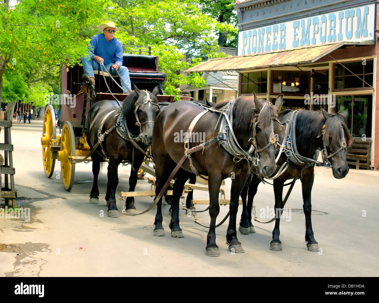 Ein Team von Pferden zieht eine Postkutsche in Columbia California State Historic Park, Goldrausch Stadt Stockfoto