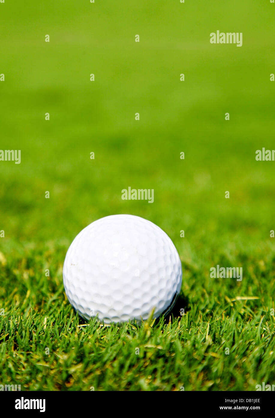 Ball für einen Golf auf einer Wiese... Stockfoto