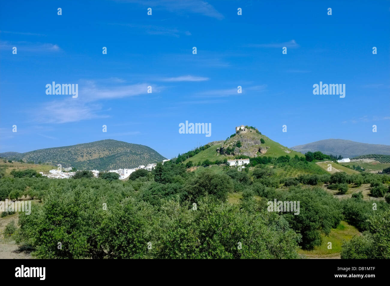 Maurische Burg auf einem Hügel über der Stadt Carcabuey, Sierras Subbeticas, Andalusien. Spanien Stockfoto