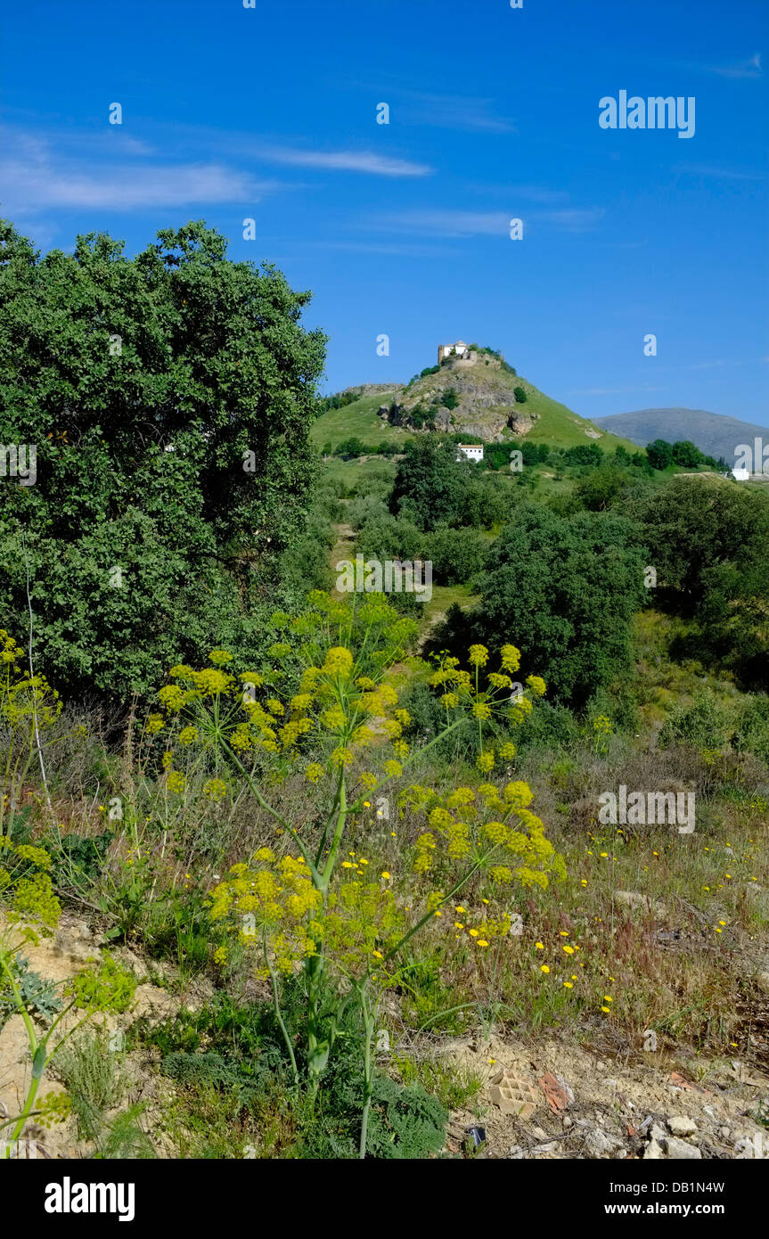 Maurische Burg auf einem Hügel über der Stadt Carcabuey und der umliegenden Landschaft, Sierras Subbeticas, Andalusien. Spanien Stockfoto