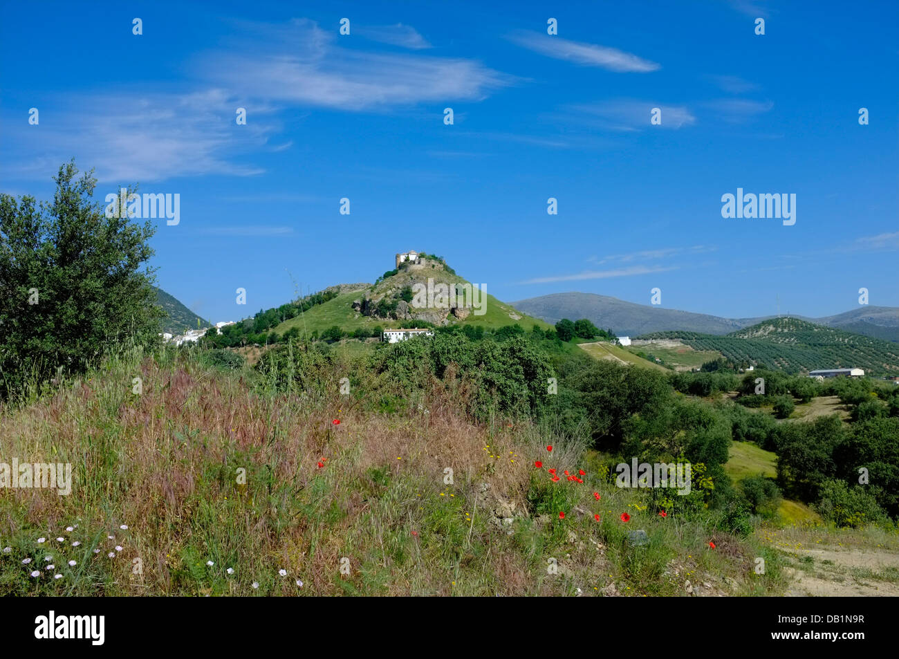 Burg auf einem Hügel über der Stadt Carcabuey, Andalusien. Spanien Stockfoto