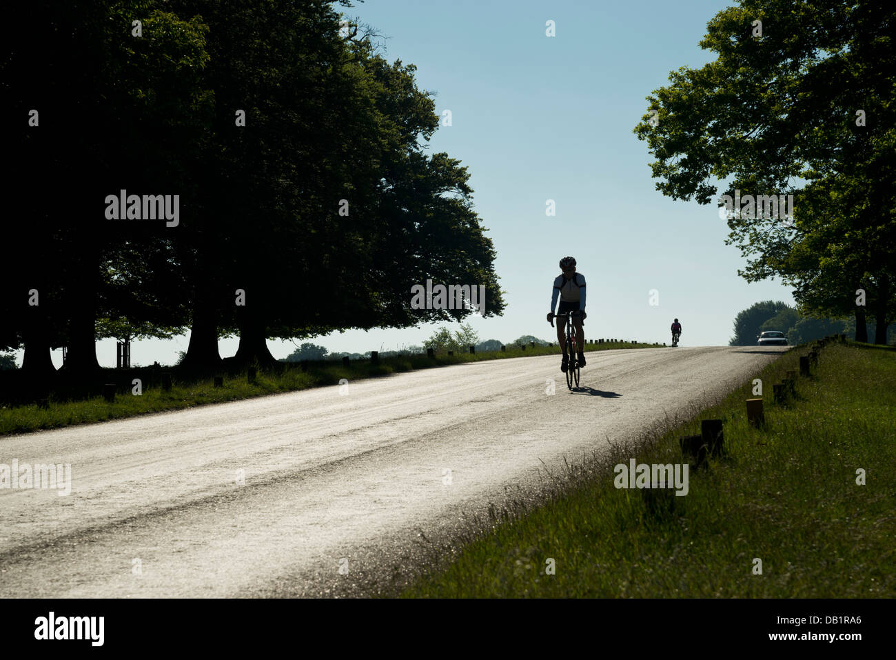 Radfahrer in Richmond Park, South West London, UK Stockfoto